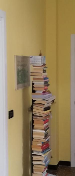 ALICE LACCATE BIANCHE